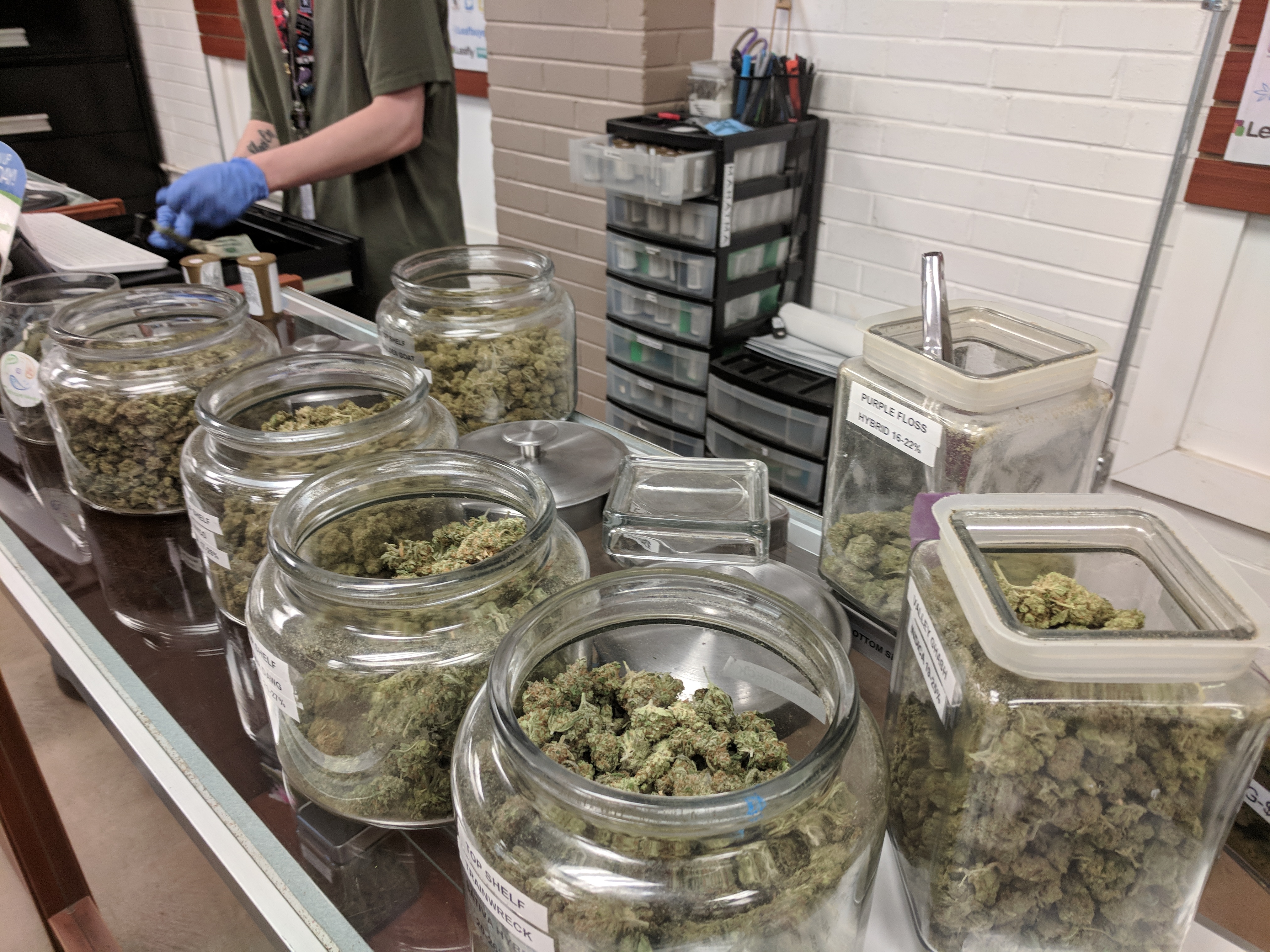 Budtender assisting customer in cannabis store