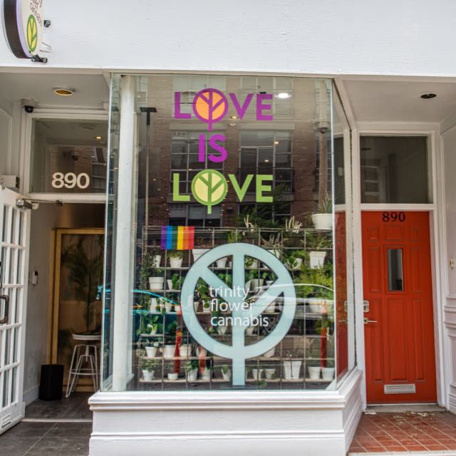 Cannabis store storefront and professional display